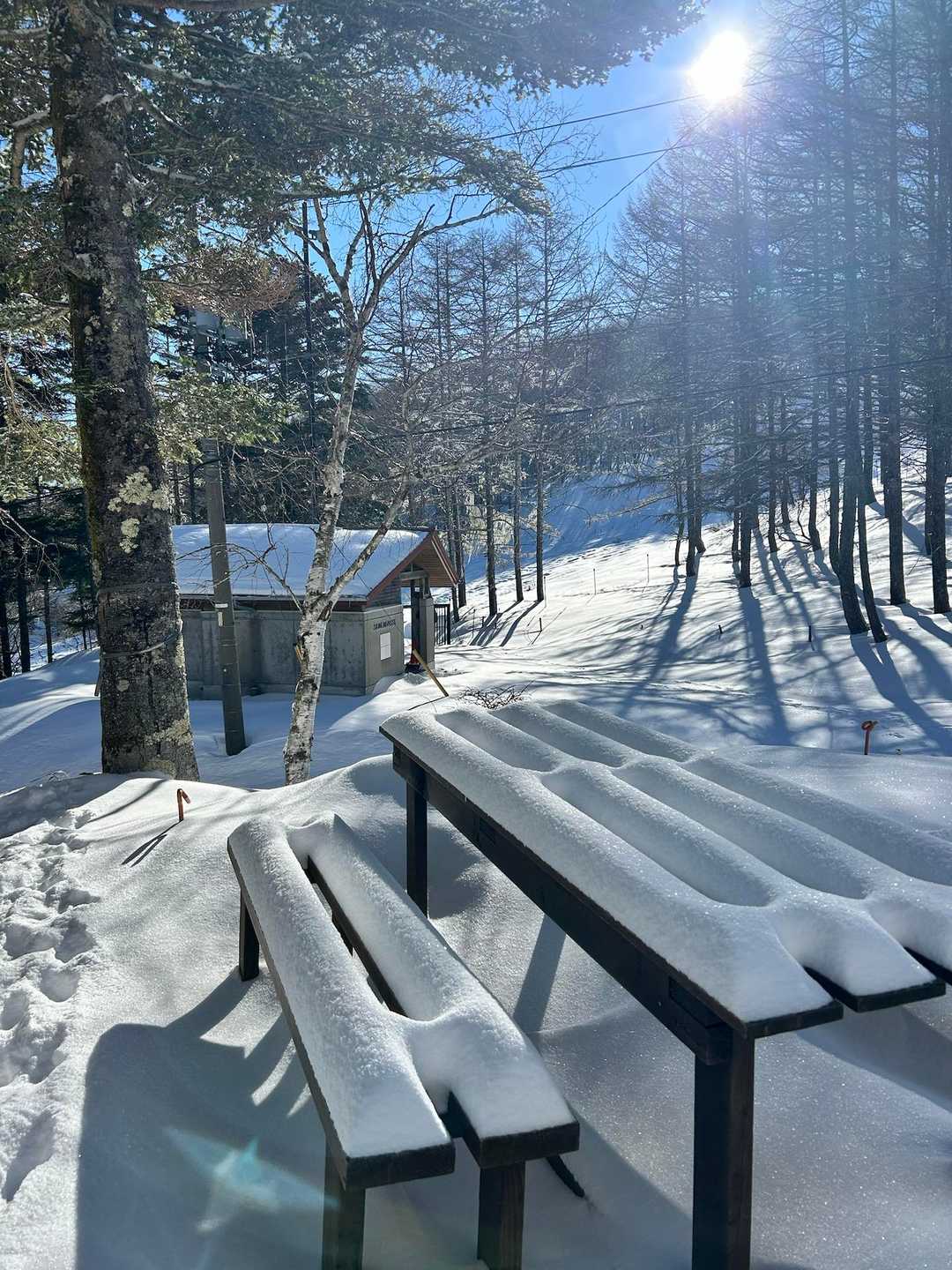 朝の散歩に行きます