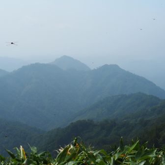 真ん中はYAMAP地図の三角山