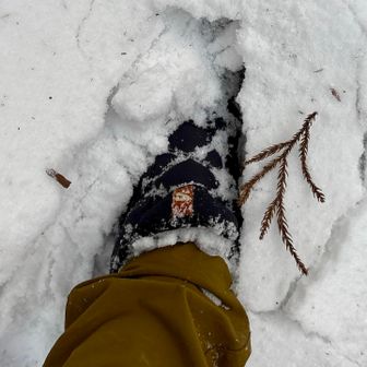 問題はローカット＆ゲイター無しは厳しい☃️