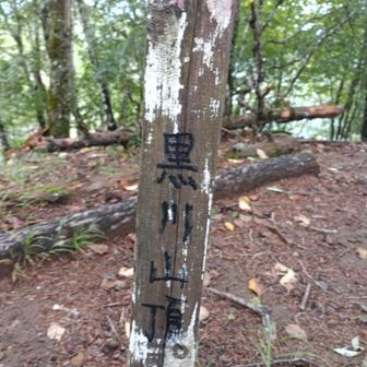 鶏冠山（黒川山）ピーク　　　　
平らなこんもりピーク
