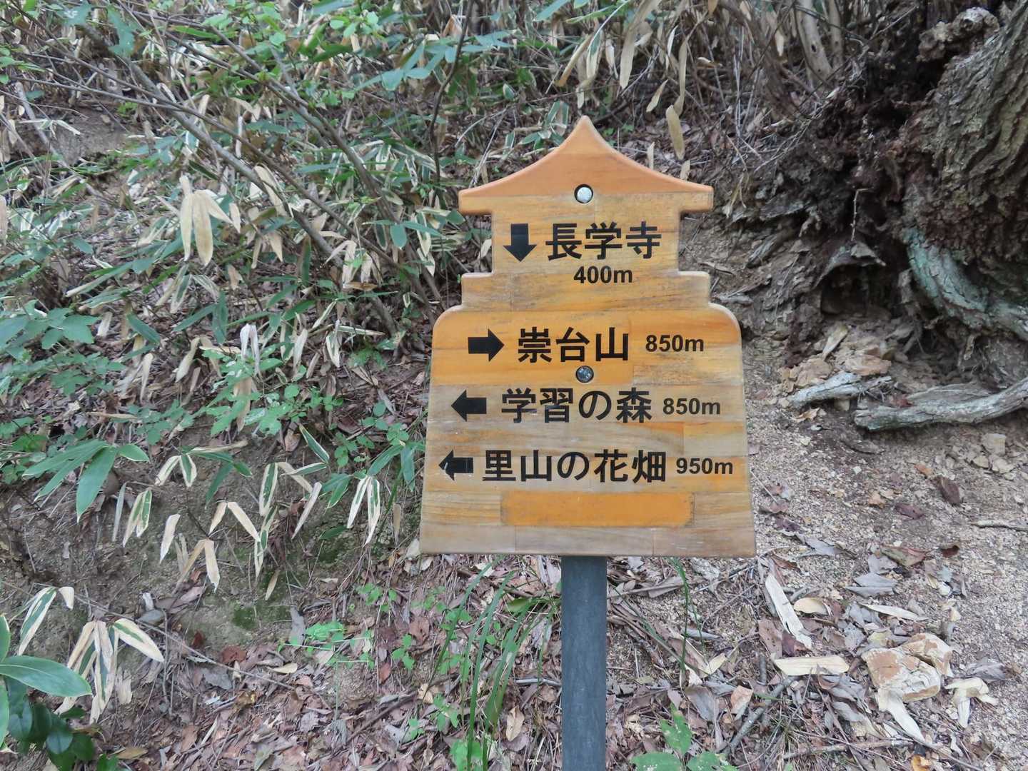 広い登山道を右に進み崇台山を目指します。