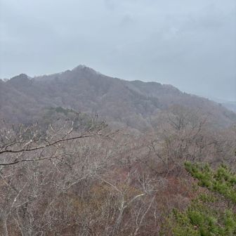 再び山頂へ！雨が降り出しましたので雨のなかの山歩きスタートです☔️
