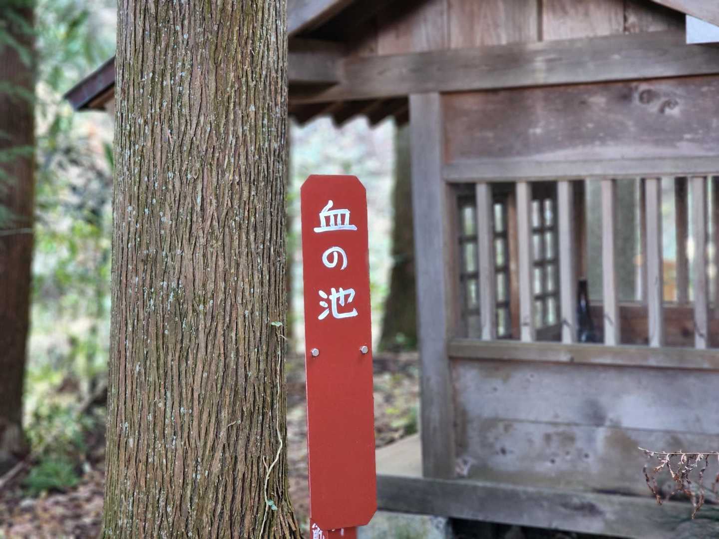 血の池こわい。