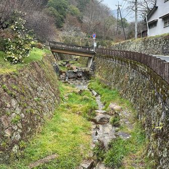 雨は止みました♪