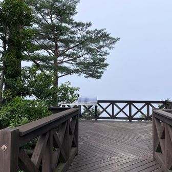 展望台の先は霧の中🫥