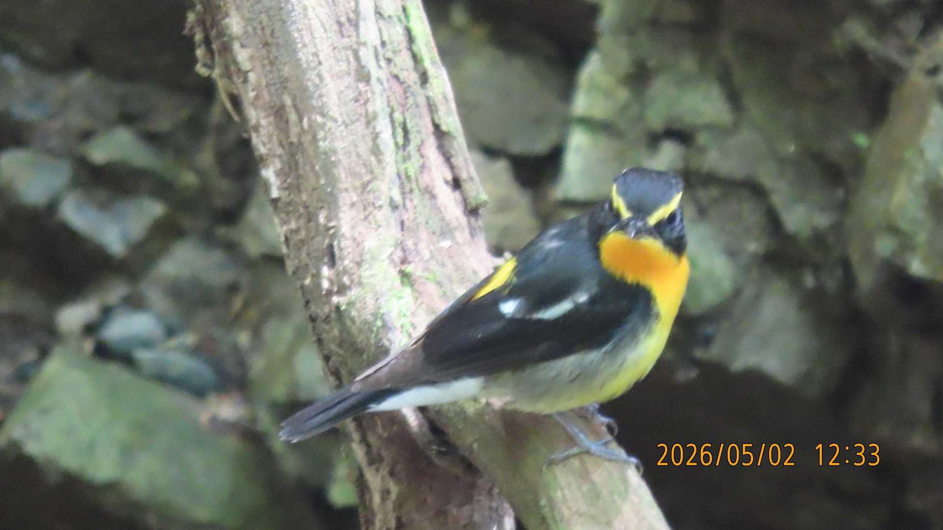 こちらを向いてくれました😊