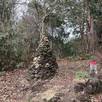 頂上です。眺望は木々の隙間から少し…というところ。