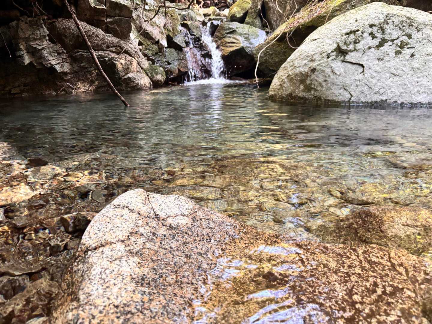 冷たくて気持ちいい🫧