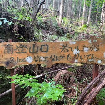 入ってすぐ
いいこと言うねえ
登る前からウキウキ🎵
