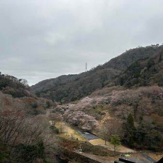 コツは終わったあと少しだけ気分が上がるか？らしい