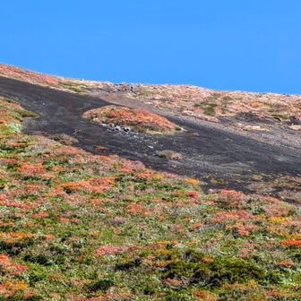 段々、火山礫が多くなってくる…