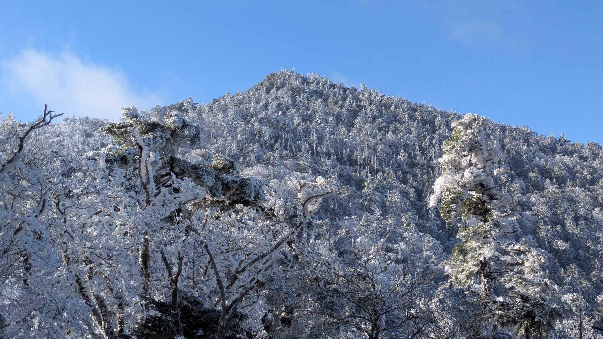 八経ヶ岳山頂に向かう。
さっきまで辺り真っ白でしたが、運よく山容が拝めました。
下山時にはまた辺り真っ白に。
