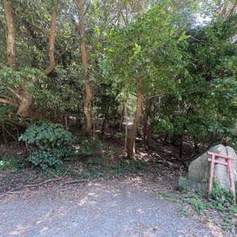 登山口から登山口へ🤣
無風のトレイルゾーン‥‥💔
サウナより暑かった🧖‍♀️