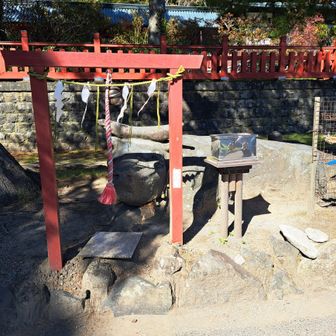 牛石の頭を束子で磨いて来ました(笑)
効果がありますように🙏
