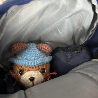 今年も🐱ゆるりと山歩き
よろしくね♪