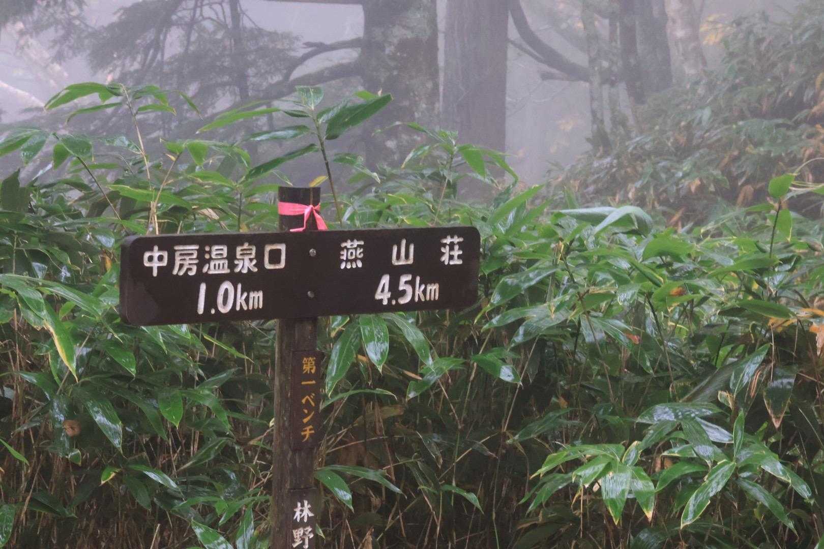 第一ベンチまで早かったー