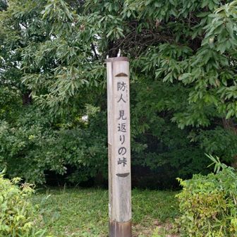 このコースのハイライト