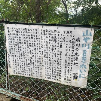 境川の水源地とのこと👀