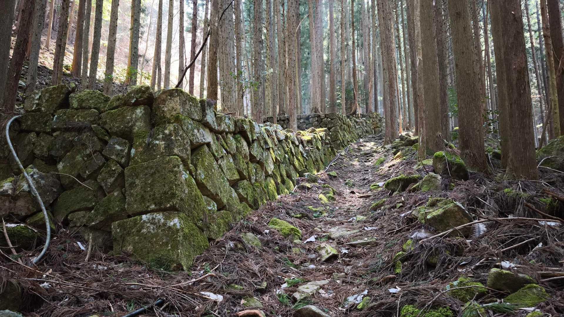 石垣があるという事は、ここでの生活があった？
