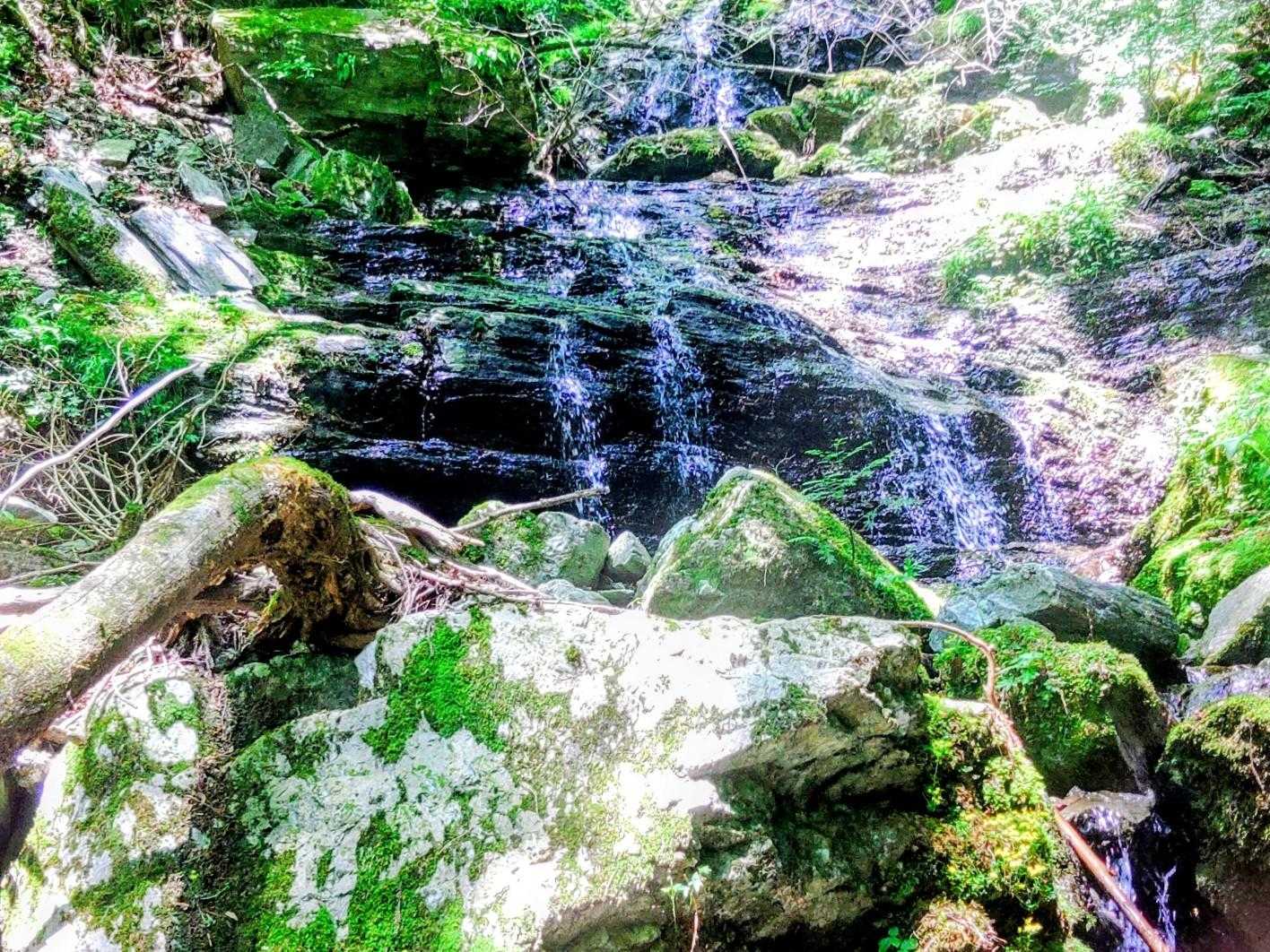 雨ヶ森 往復コースの写真