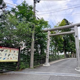 無料駐車場🚻