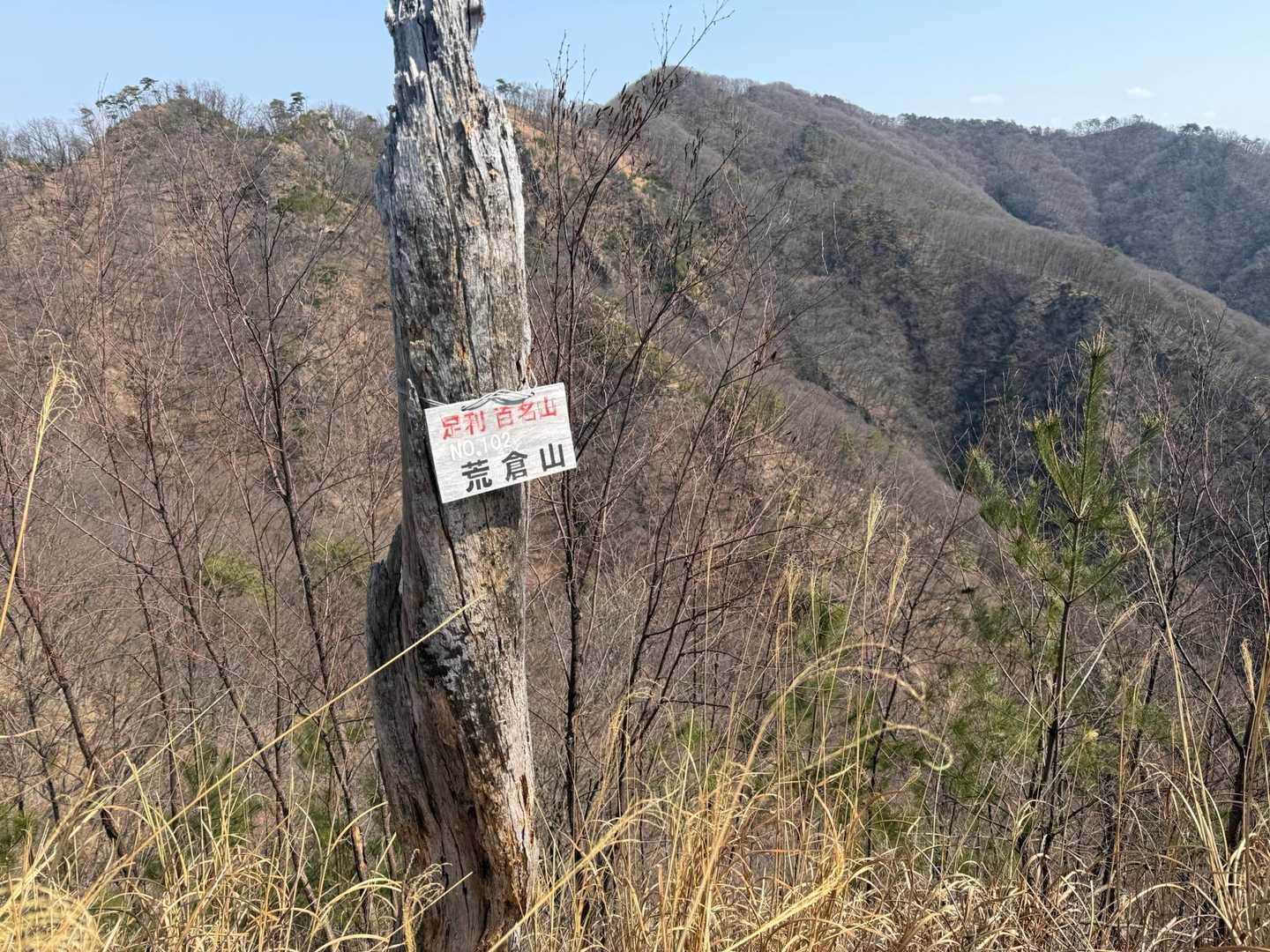 荒倉山⛰️とうちゃーく