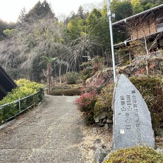 ここから藤野駅までロードです
バス停で時刻表見てたけど
今日は乗らないよ〜って心の中で言ってた😆
長かったけど💦