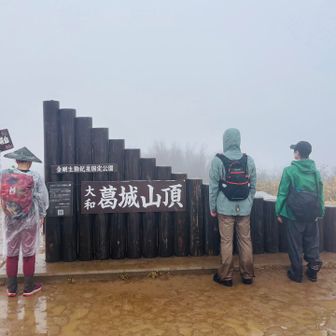 山頂とうちゃく！