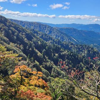 色づき始め🍁