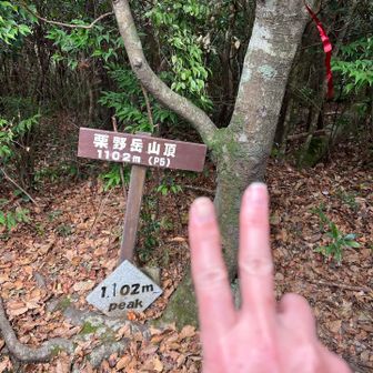 栗野岳山頂⛰️1102m🙌