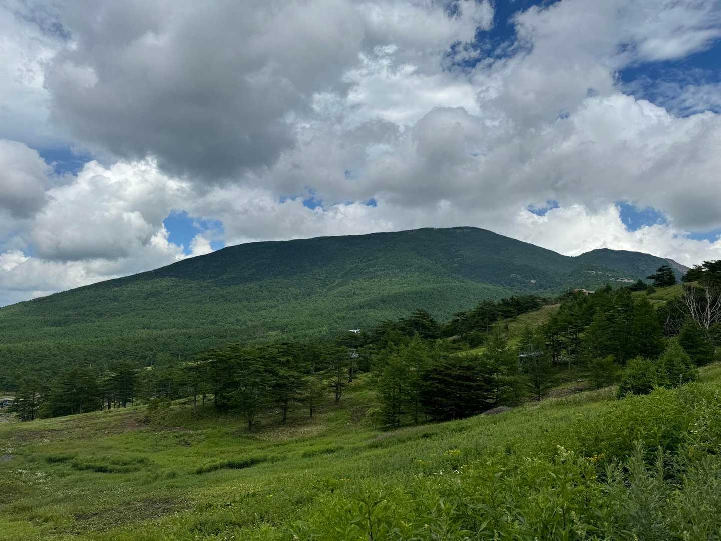 車坂峠-高峰山 周回コースの写真