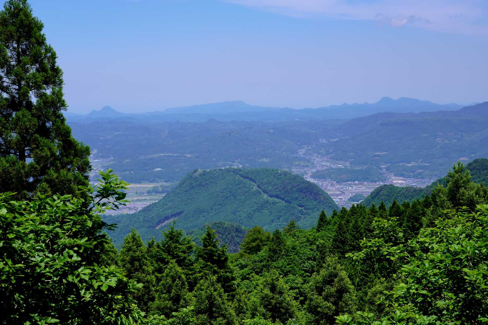 林間コースで唯一展望が開ける所から見た伐株山・・・奥に八面山・鹿嵐山
