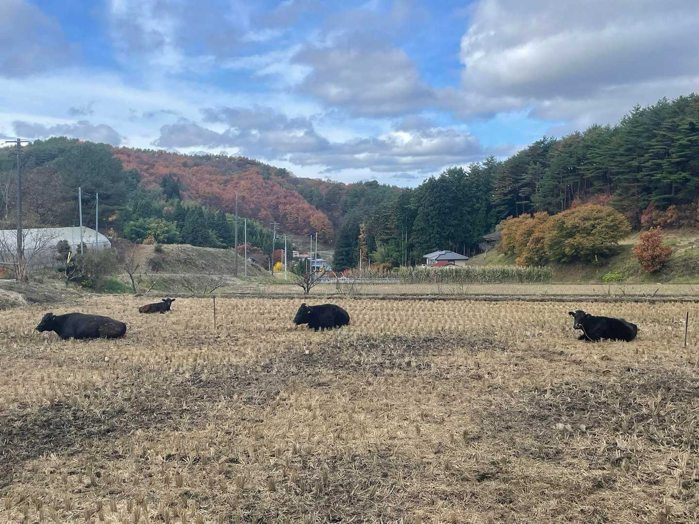 鰍登山口-鎌倉岳 縦走コースの写真