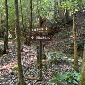 帰り道が設定されてて、最後だけ周回する感じ