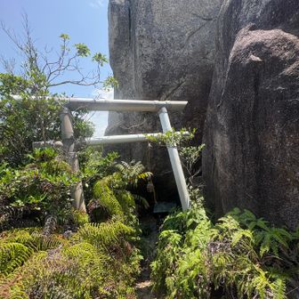 登りとは逆ルートで下る♪
鳥居⛩️がありました🙏