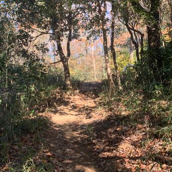 入ってから見上げてみた