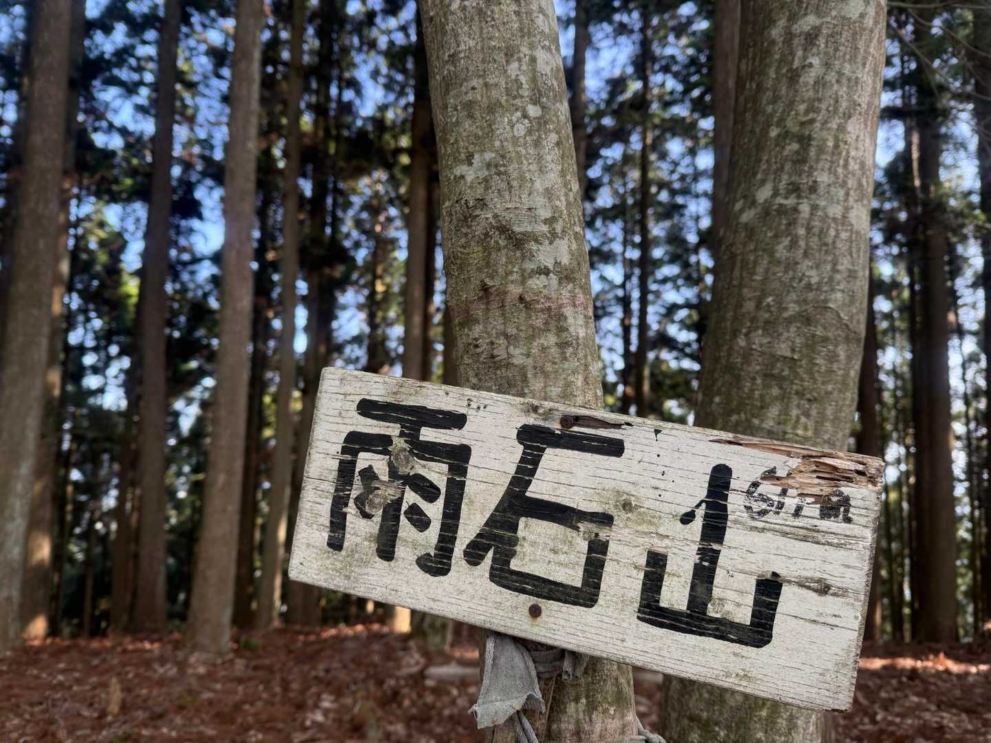 毘沙門洞-雨石山-小野峠-櫃ヶ嶽-ポイント 縦走コースの写真