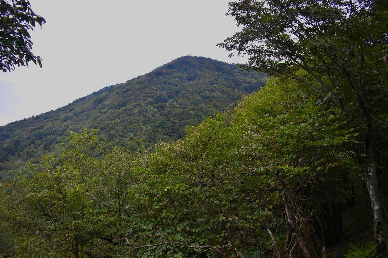 山頂を見返します。