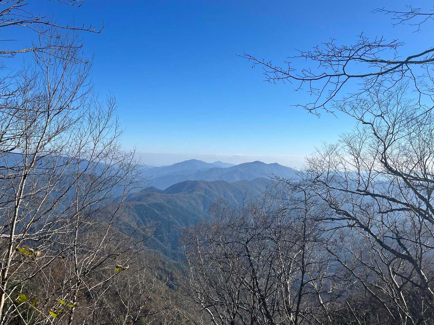 途中、奥多摩の山並みがよく見える。