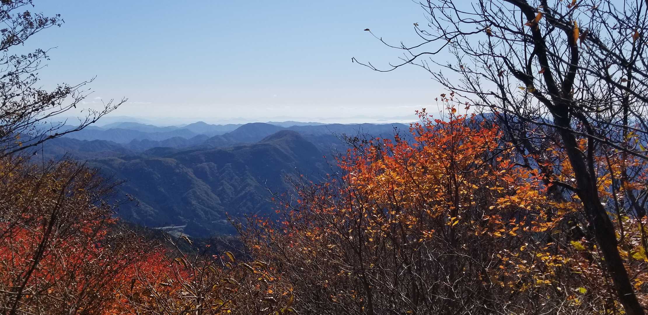 錦ヶ岳の写真