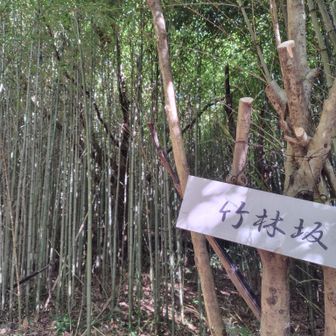 名前通りの坂😆