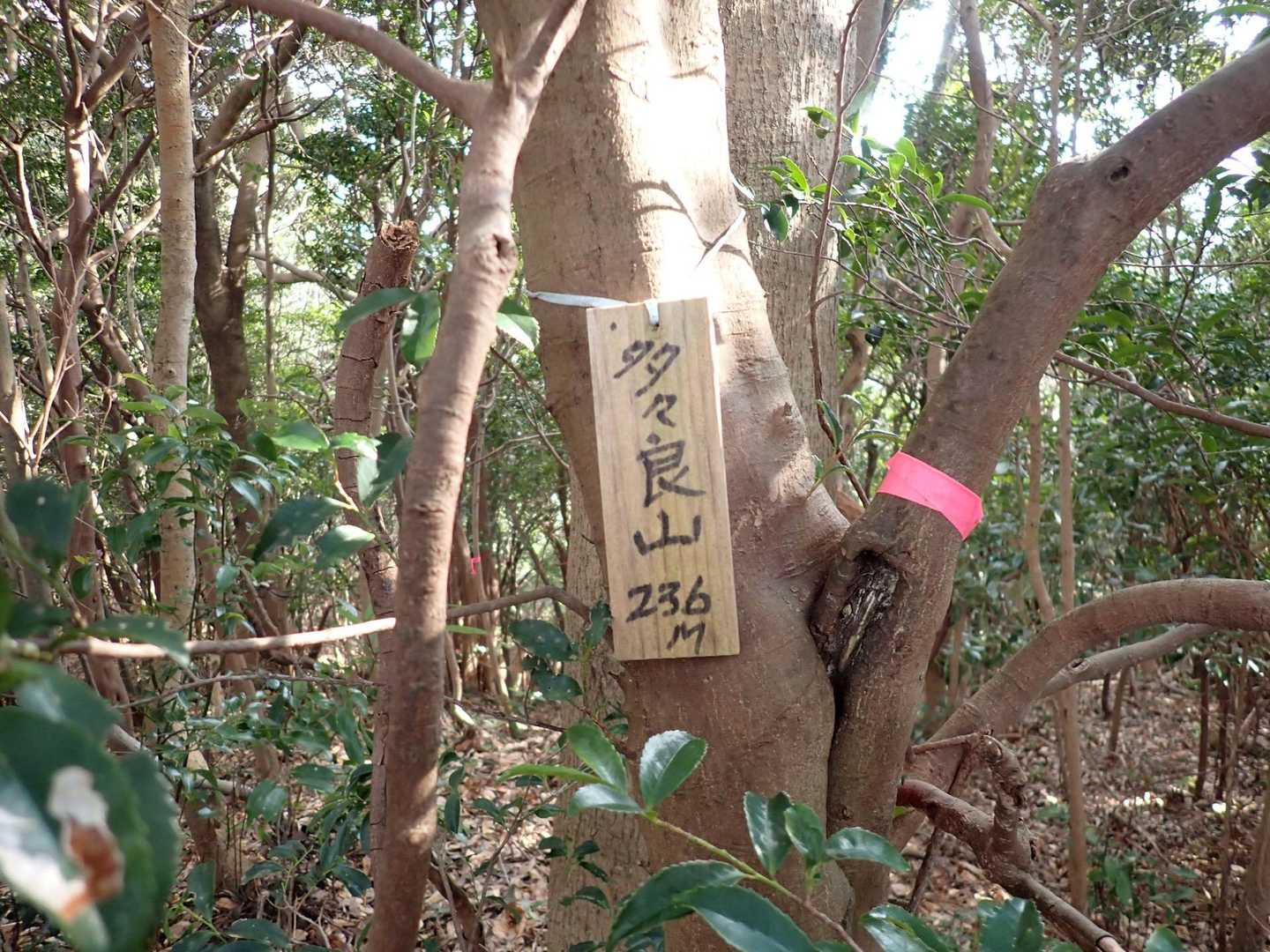 多々良山山頂プレート