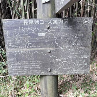 金時山、丸岳、箱根の温泉街に行くコースもありだな🤔