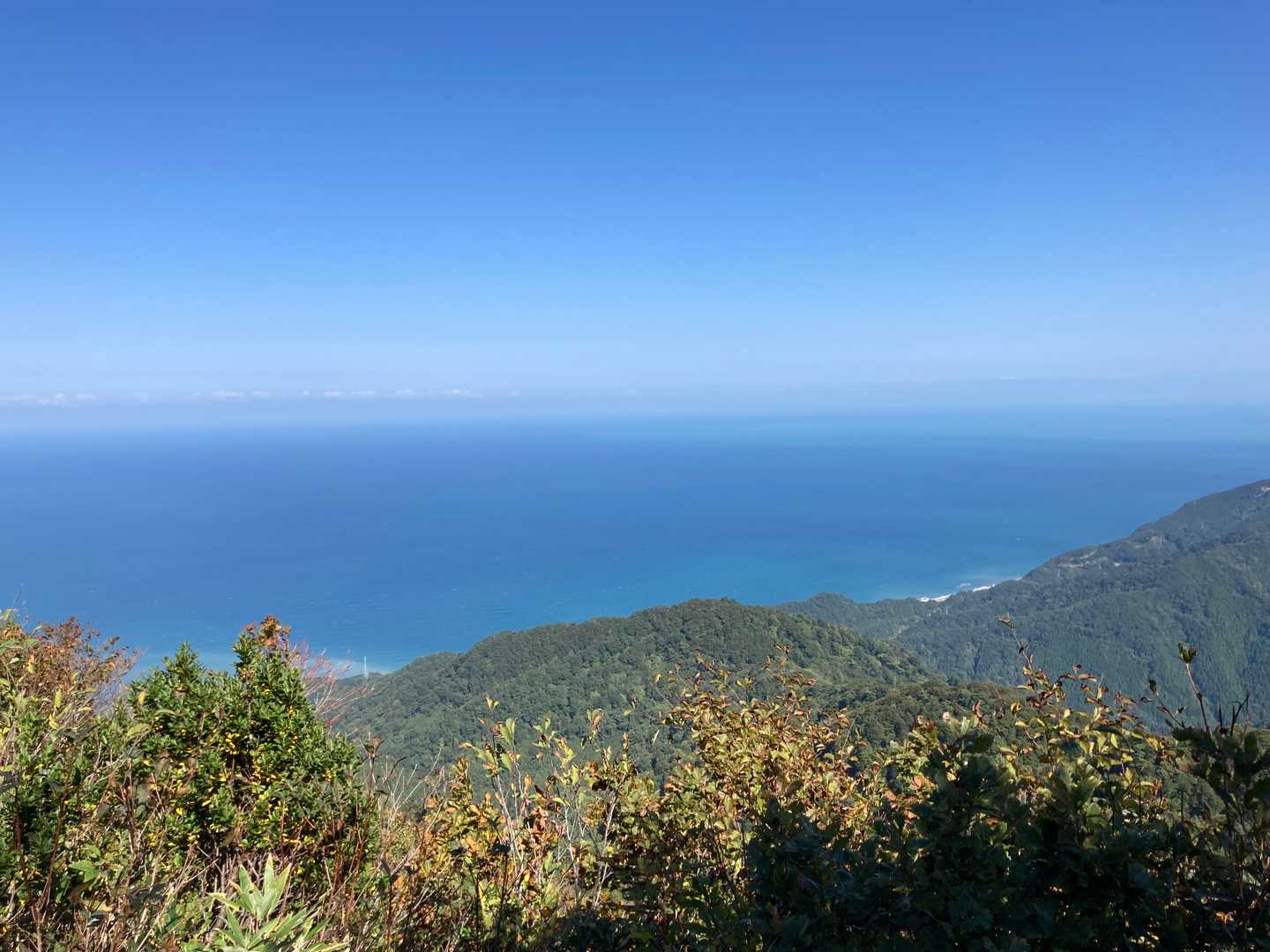 大鷲山 往復コースの写真