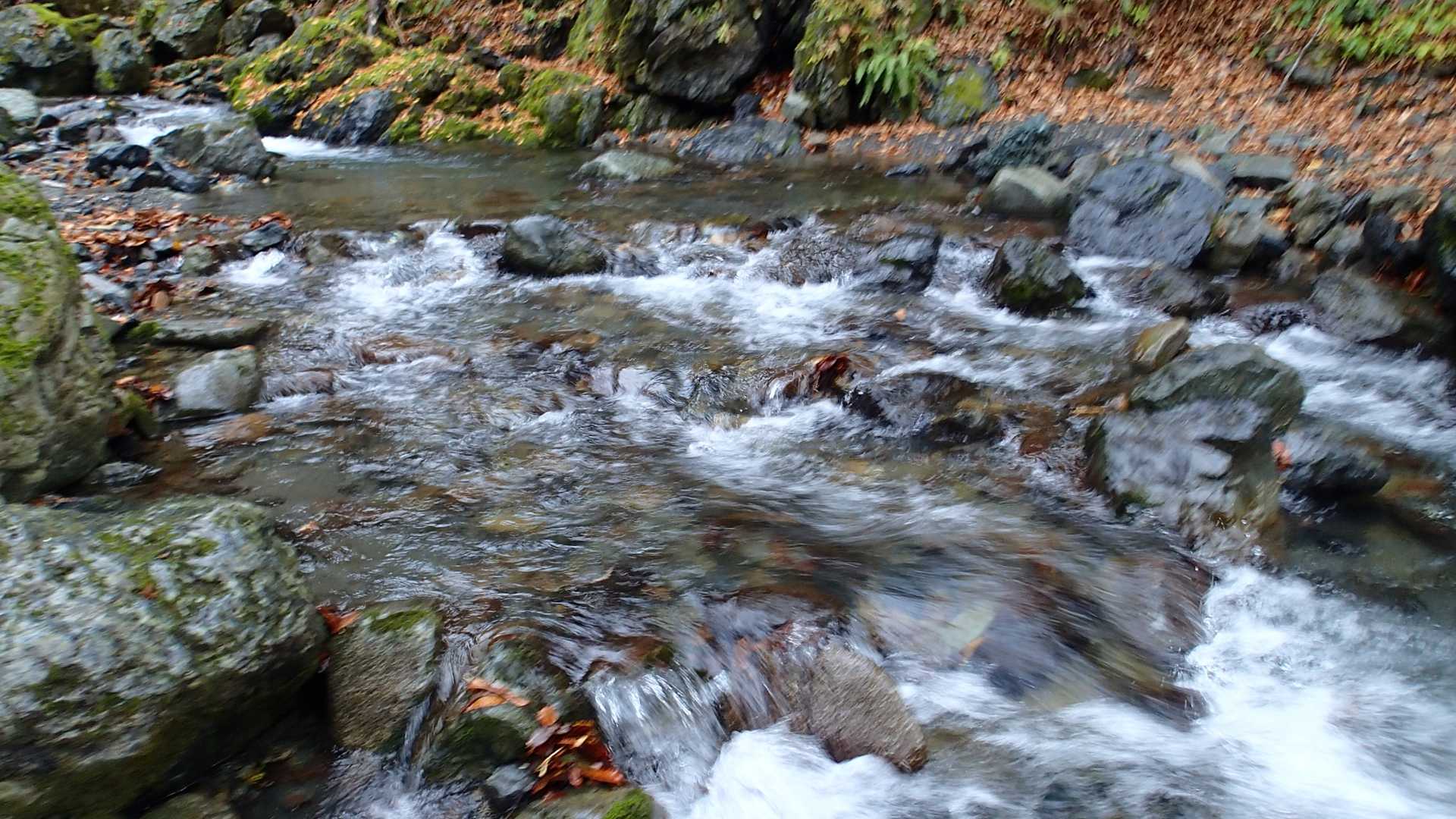 往路ここでこける。下山苦労する。