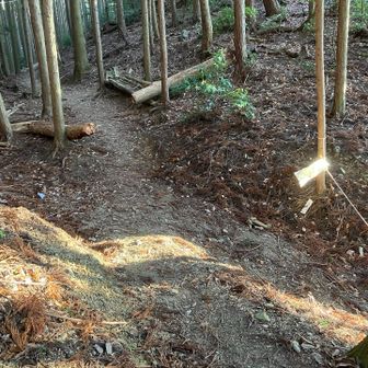 荒神峠。ここまでは厳しい急登の下りでした。
見事なまでに、導標や案内図がありません。
その代わりに、荒神峠の解説板だけ設置されていました。