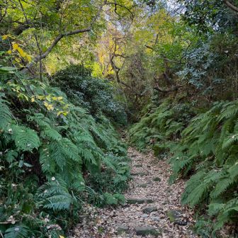 終始整備されたハイキングコース