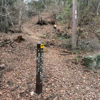 ↖南ドーント・リッジ