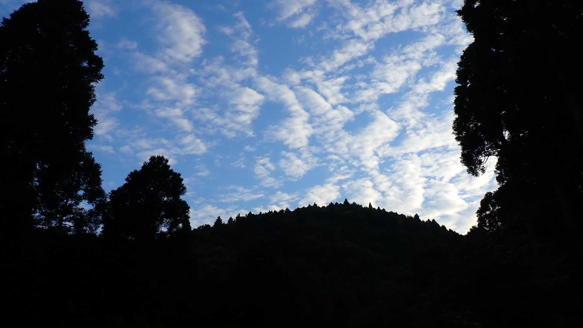 麓からの空は青空が出てたけど・・・