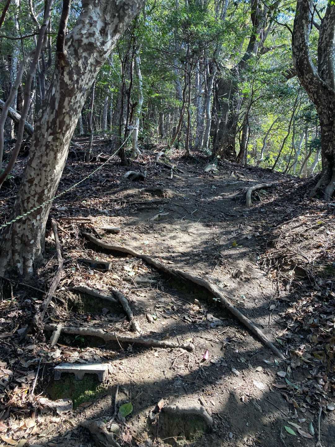 灰ヶ峰 周回コースの写真